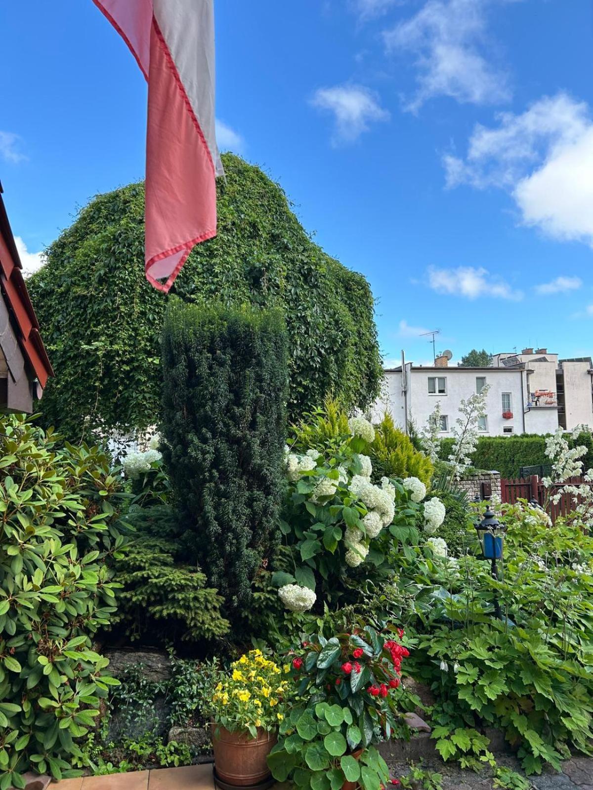Villa Mielno-Eko Mielno  Exteriér fotografie