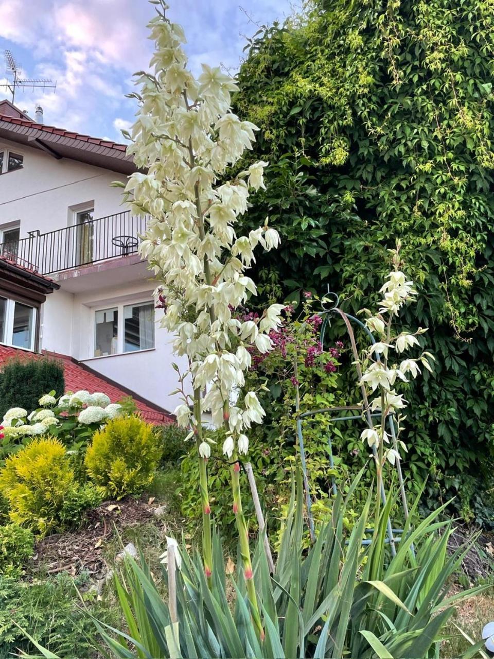 Villa Mielno-Eko Mielno  Exteriér fotografie